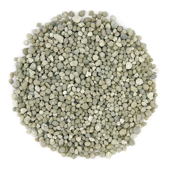 Home Diammonium phosphate (DAP)